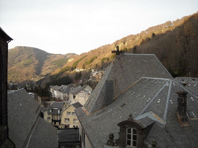 Appartement à louer à Mont dore, 16,1 m², 2 pièces – photo 3 sur 6